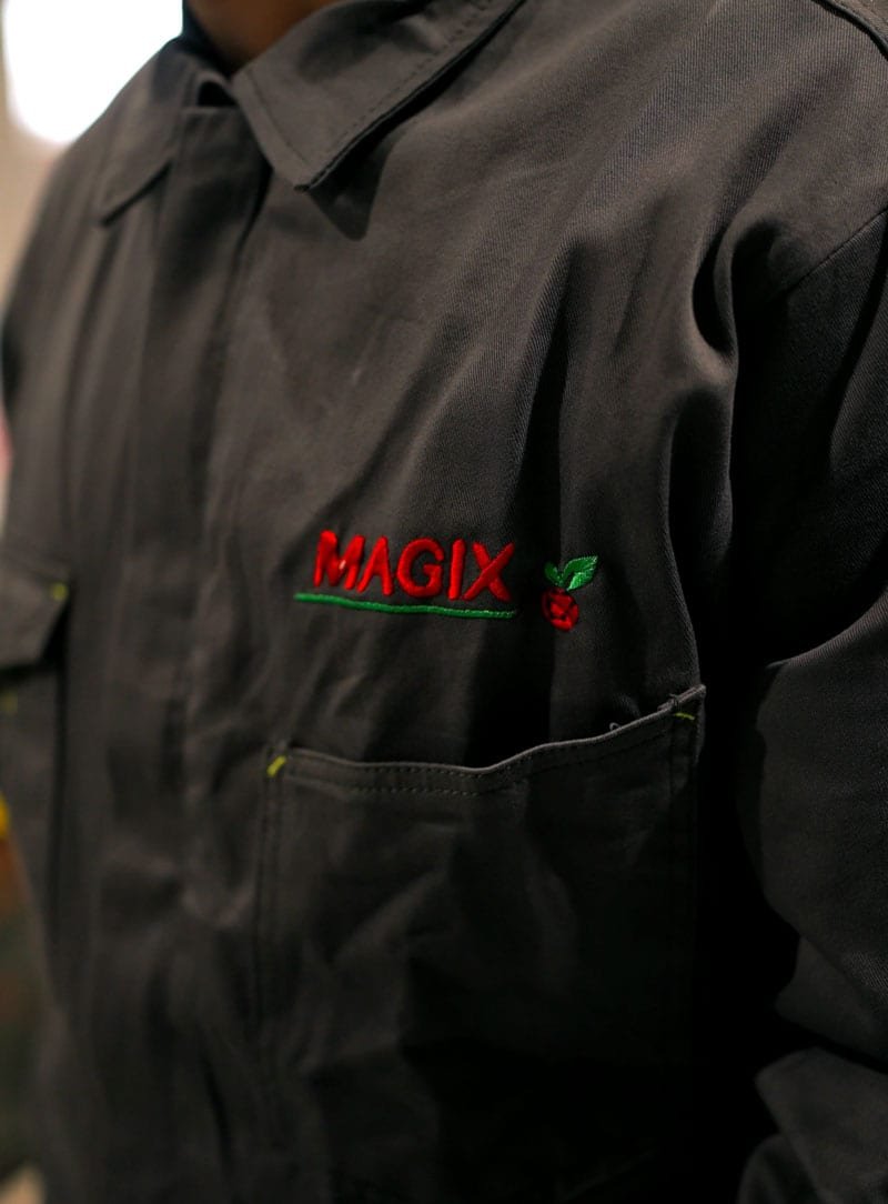 La storia di Magix